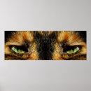 Buscar ojos animales posters Criaturas