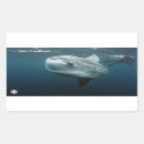 Buscar mola pegatinas Naturaleza