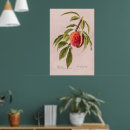 Buscar barba posters Para ella