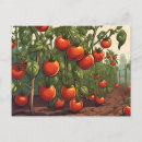 Buscar maduro postales Para todos