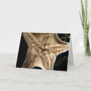 Buscar starfish tarjetas Vida marina