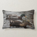 Buscar patos silvestres cojines Pato silvestre