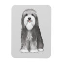Buscar barba imanes Collie barbudo