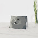 Buscar pomeranian postales Blanco