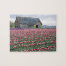 Buscar valles puzzles Primavera