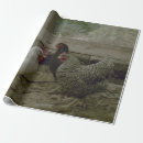 Buscar pollos papel de regalo General y unisex