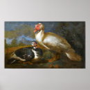 Buscar paisaje natural posters Fauna