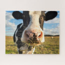 Buscar vaca lechera puzzles Holstein