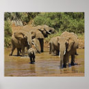 Buscar reservas arte Kenya