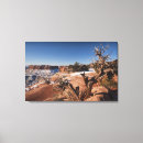 Buscar bici lienzos Montaña