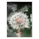 Buscar mala hierba postales Flores