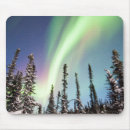 Buscar polar electronica Estrellas