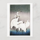 Buscar koson postales Pájaro