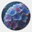 Buscar hydrangea purpura pegatinas Flores