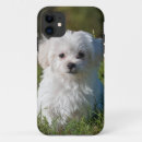 Buscar perrito blanco iphone fundas Perro