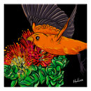 Buscar hawaianas posters Nativo
