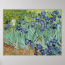 Buscar paisaje de van gogh posters Iris