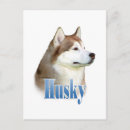 Buscar huskie postales Perro