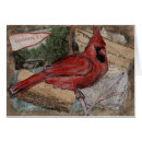 Buscar pintura cardinal Escarlata
