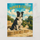 Buscar border postales De border collie