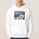 Buscar fornido sudaderas Perro