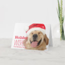 Buscar santa tonto tarjetas Humor