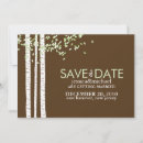 Buscar árbol de abedul Boda de otoño