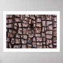 Buscar árbol abstracto posters Hojas