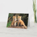 Buscar vulgares tarjetas Vida silvestre