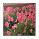 Buscar tulipanes rojos azulejos Primavera