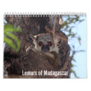 Buscar lemurs Monos