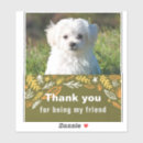 Buscar amistad pegatinas Para niños