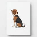 Buscar beagle placas fotograbadas Weimaraner