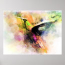 Buscar colibrí azul posters Pájaro