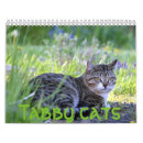 Buscar gatos de tabby calendarios Fotografía