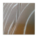 Buscar piel azulejos General y unisex