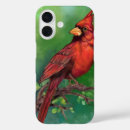 Buscar cardinal iphone fundas Rojo