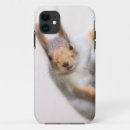 Buscar ardilla iphone fundas Divertido