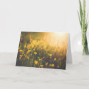 Buscar ocaso tarjetas Flor