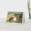 Buscar gitano tarjetas General y unisex