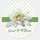 Buscar edelweiss pegatinas Floral