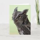 Buscar aves rapaces tarjetas Para todos