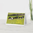 Buscar granjas lecheras tarjetas Vacas