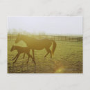 Buscar corriendo postales Naturaleza