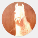 Buscar gitana pegatinas Bohemio