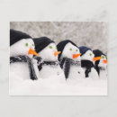 Buscar congelación postales Navidades