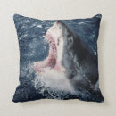 Buscar elevado cojines Imagen de color