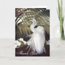 Buscar egret Elegante