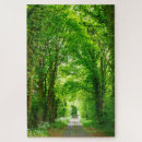 Buscar parque fotografía Verde