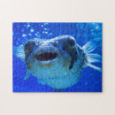Buscar pufferfish Océano